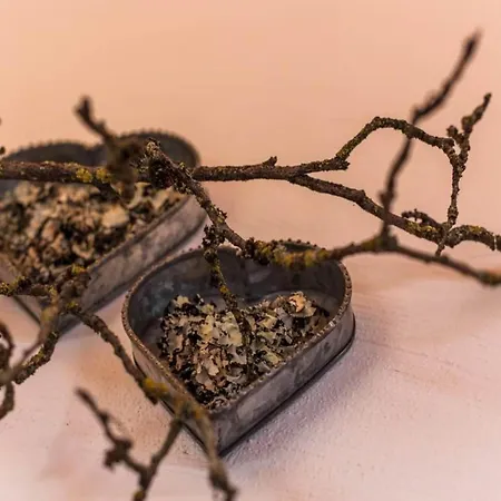 With Sauna And Natural Pool Chalet