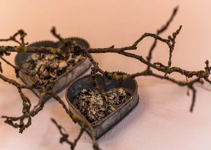 With Sauna And Natural Pool Шале